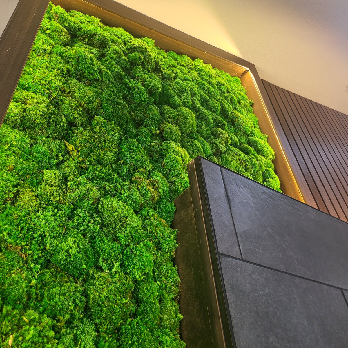 Forget Moss Balls--how about Moss Walls? We discovered this unusual feature while previewing. What do you think? (BTW, if you are the person who ended up buying this lovely home, let us know!)
#moss #livingwall #interiordesign #homedecor #plants #plantdaddy #realestate #realtor