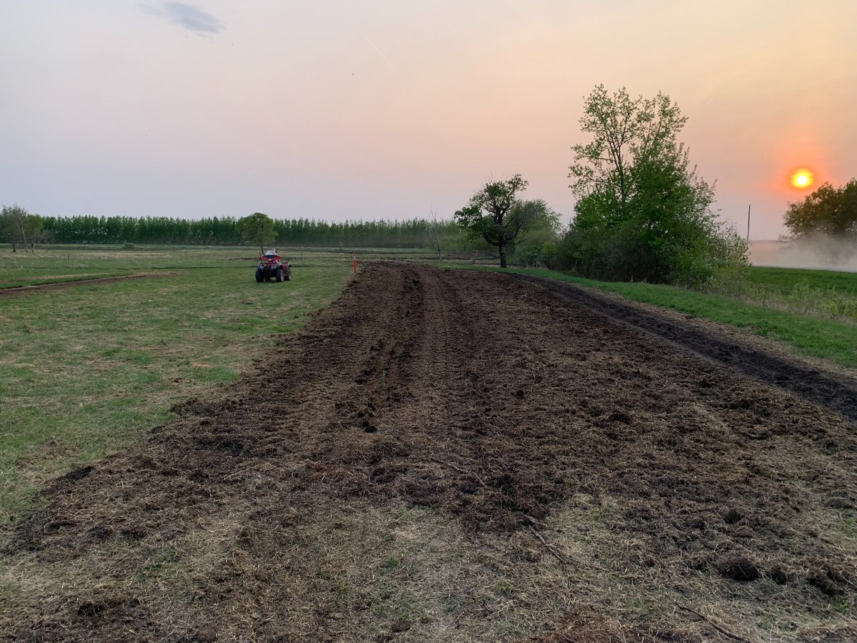 Every year we try to plant a few trees on the farm.  This year we installed a new shelterbelt around my sister's yard.  Skyfest poplars and some blue spruce.  Now the work begins #watering! #createyourownparadise