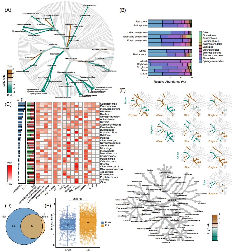 Congretulations for our newly published review in Trends in Plant Science.

Harnessing biological nitrogen fifixation in plant
leaves.

Led by Prof. Yong-Guan Zhu~~~
authors.elsevier.com/c/1hAp-_UxGnMT…
