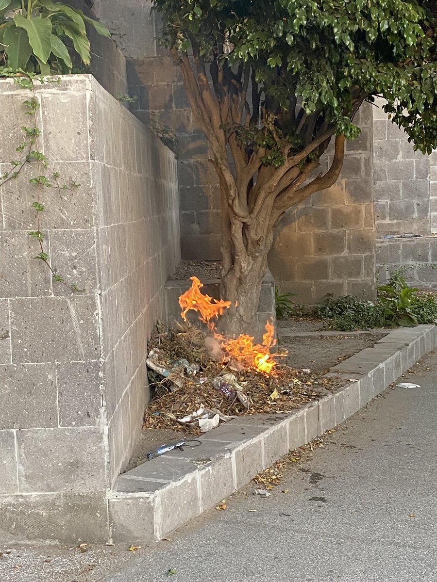 sofiavd's tweet photo. Un señor le prendió fuego a esta hojarasca seca en americas y la glorieta Colin afuera del edificio del SAT !!!!! 

@Trafico_ZMG https://t.co/1Z6QQvFPuo