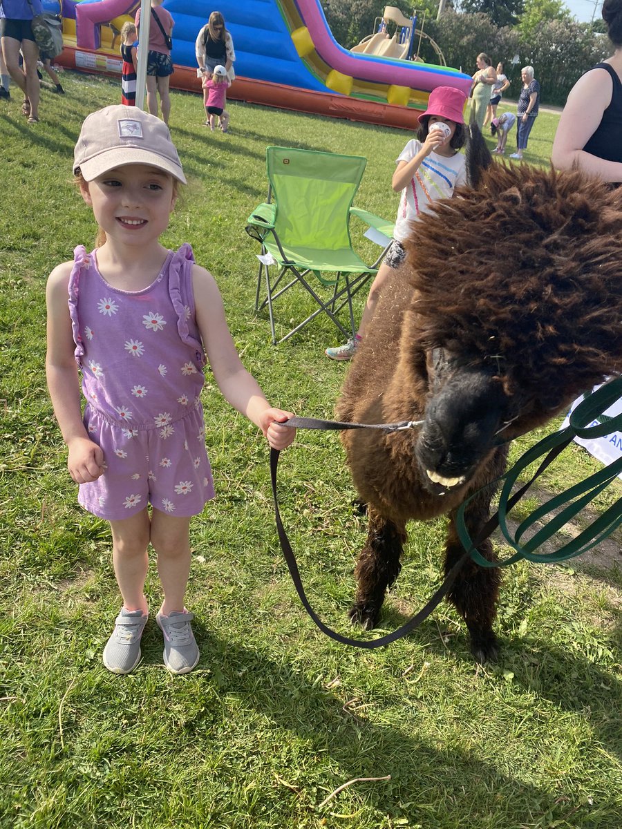 Mrs.Westcott's Class tweet media