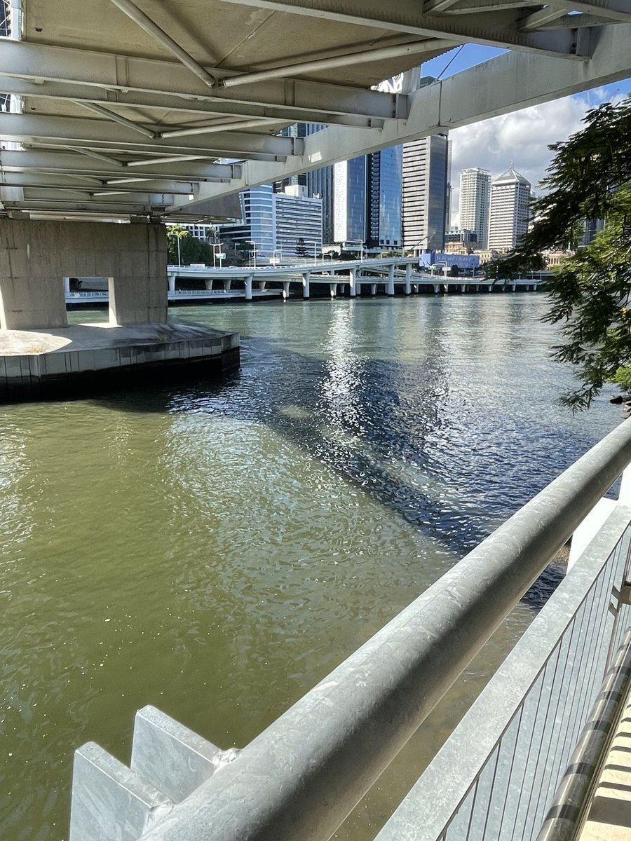 ChefColcombe's tweet image. Back to Liquids second home #Brisbane ⁦⁦@mapleaus⁩ . Loving their winter