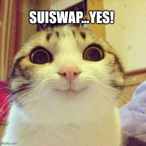 orange_marigold's tweet photo. @suiswap_app #SUI https://t.co/f4s7goejMs