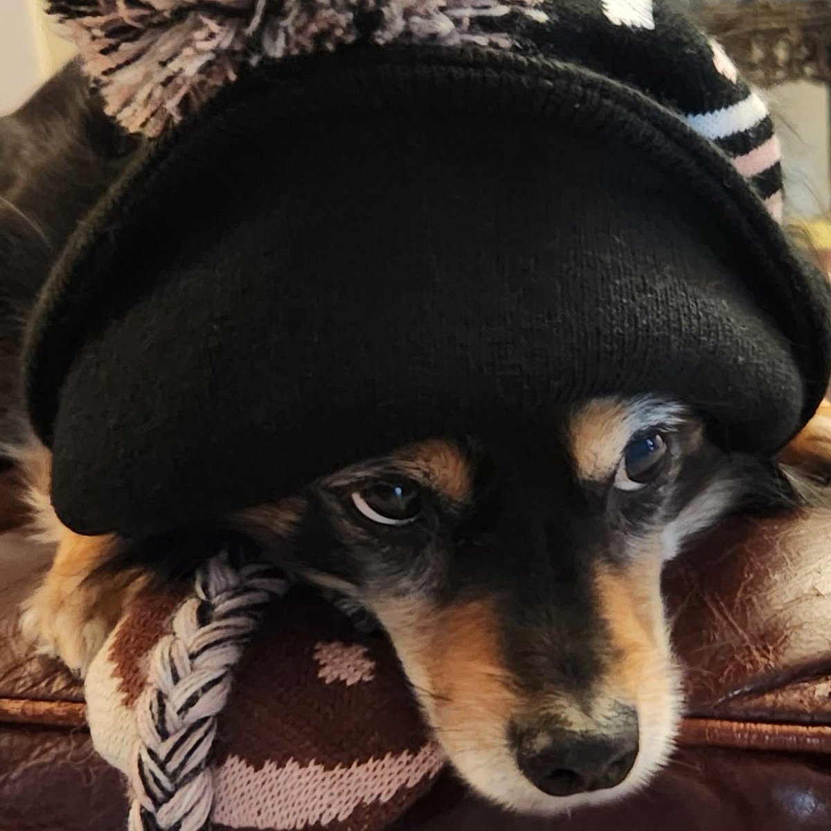 #NewProfilePic