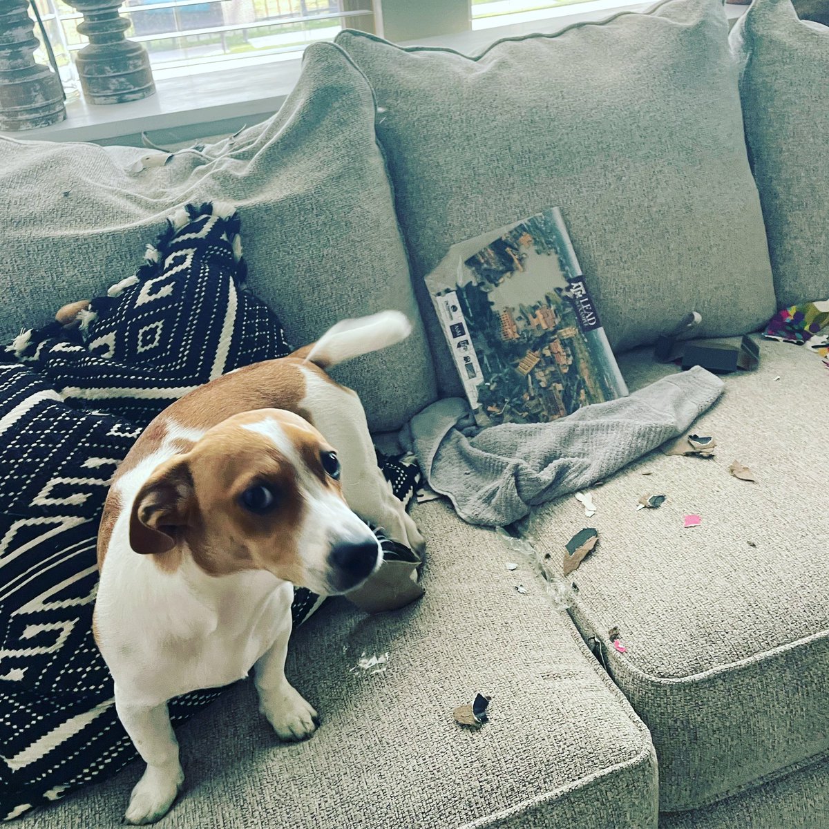 Tiffany Carey, Ed.D. tweet media