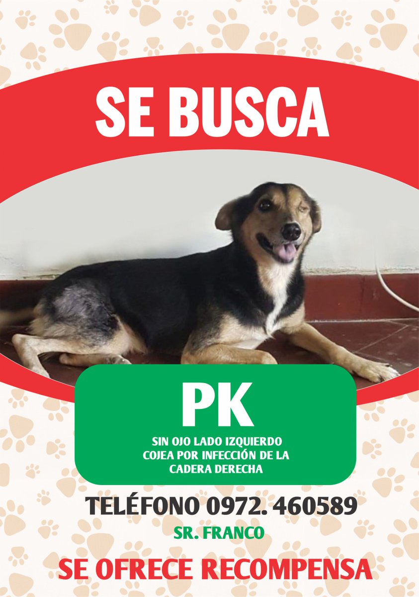 Xfa difundir