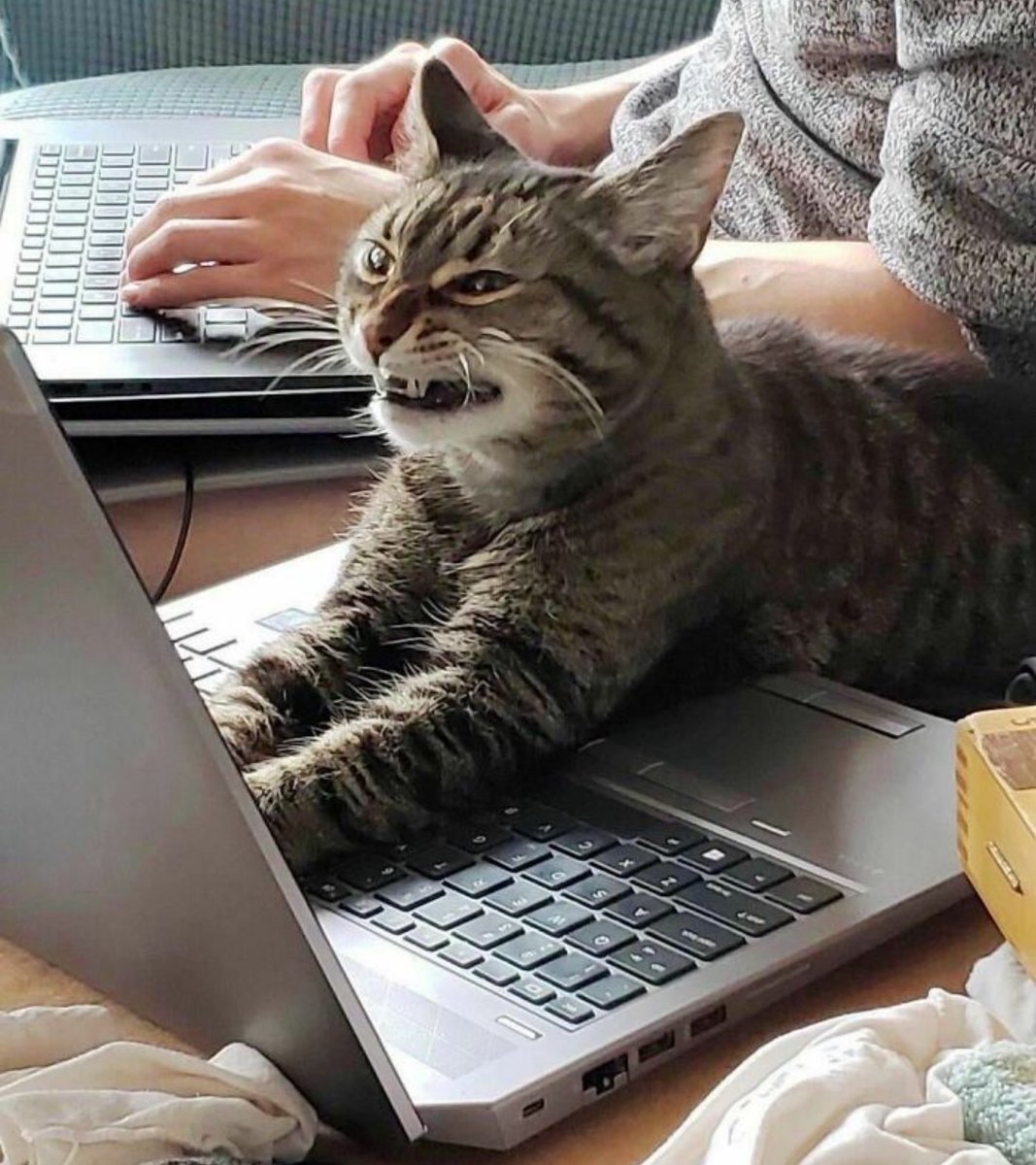 Agatha Chocolats tweet media