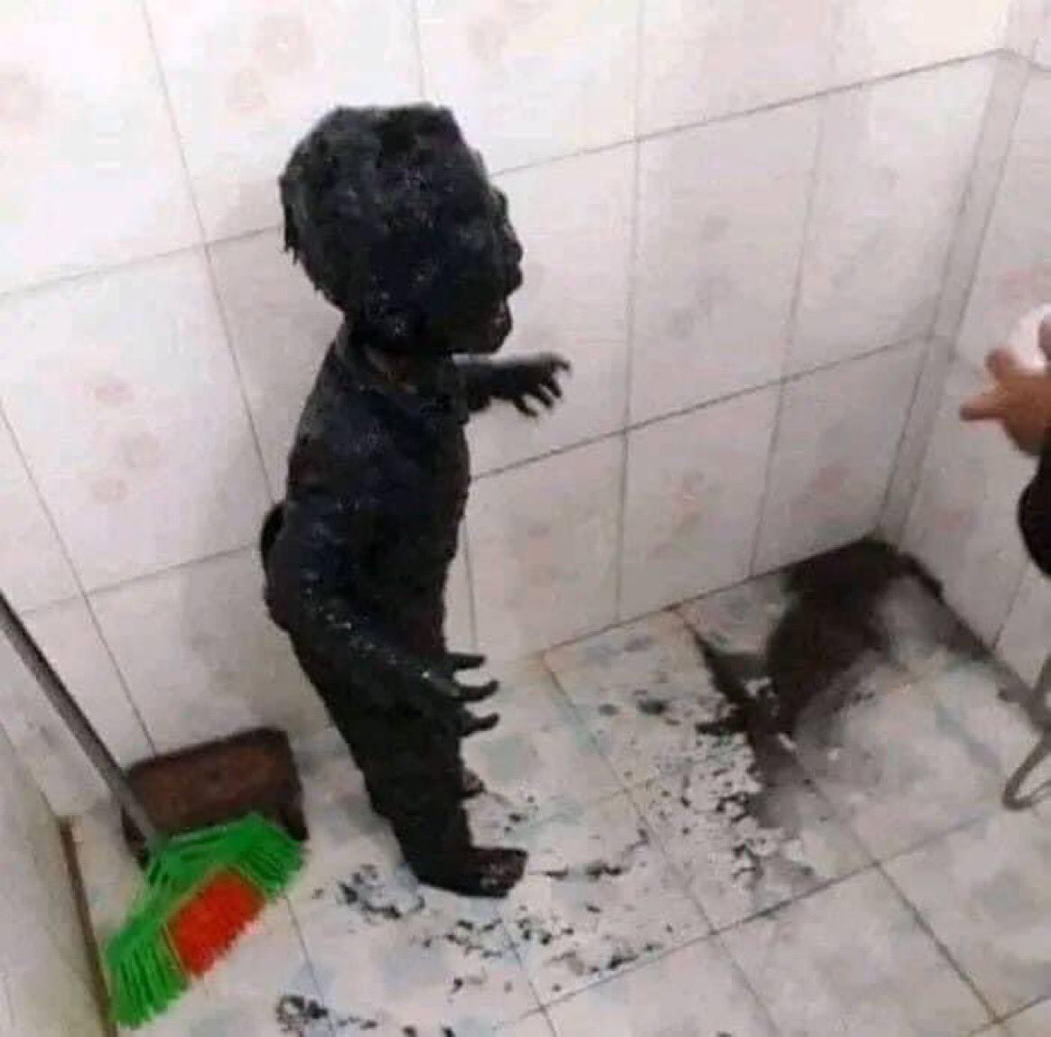 O pulmão do meu amigo vendo ele acender outro cigarro:
