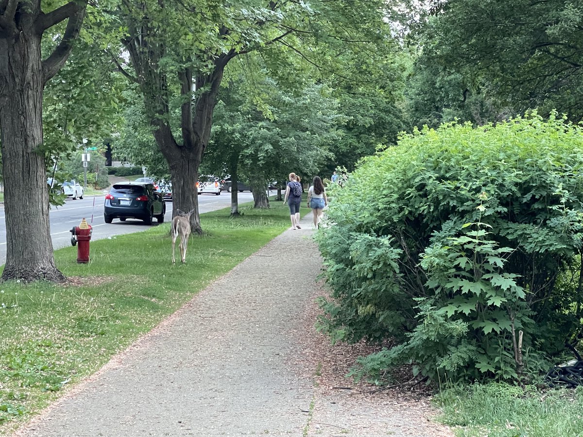 Max Nesterak tweet media