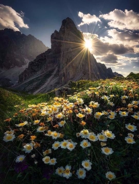 ☀️
Good morning, Happy Friday 

#NaturePhotography