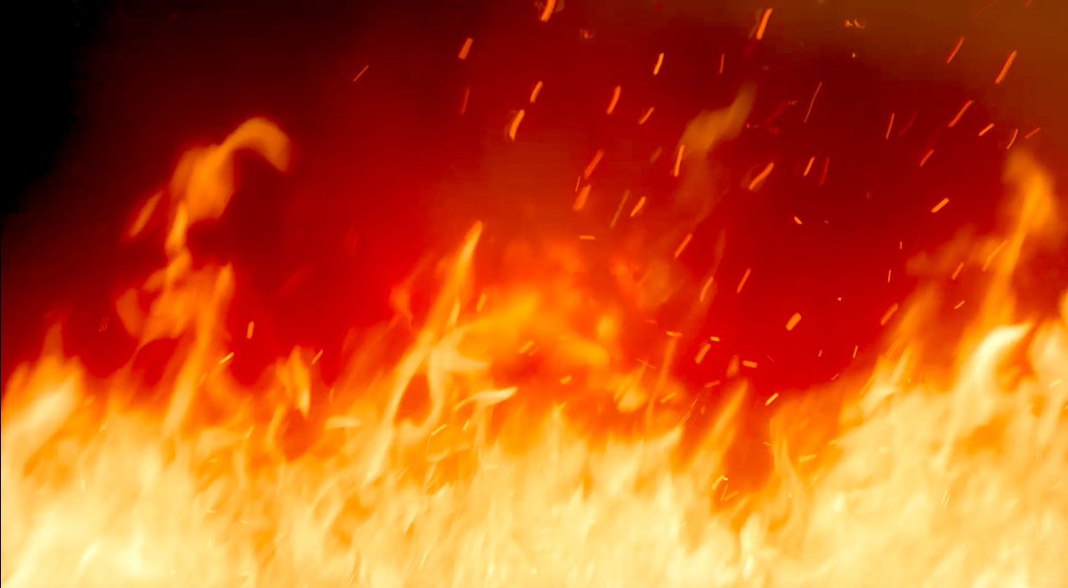 Guided Wanderer 🦁 tweet media