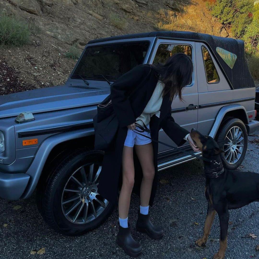 这行情哪里是熊市，明明就是猴年 戏耍韭菜的一年