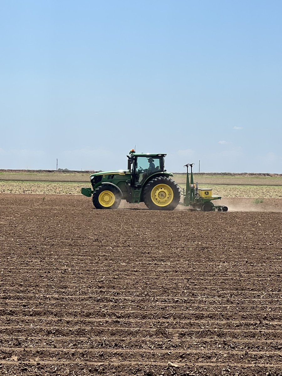 Weed Science research plots going in at Altus. Seedbed conditions were amazingly excellent.