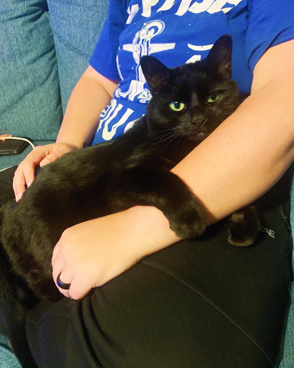 Today we said goodbye to The bestest cuddle bug, ice cream loving, coffee stealing, tv watching, baby green eyes Charlie Wharlie/Champer Damper. 12 years was not even close to enough time. We love u Charlie &amp; will miss u so so much.