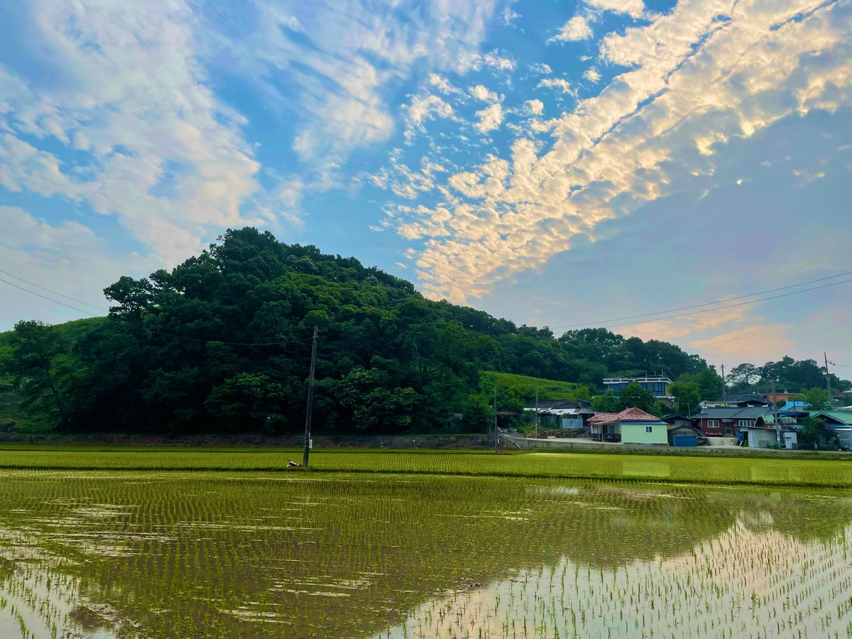 air is so good in the countryside of Korea. I’m healing 🤭