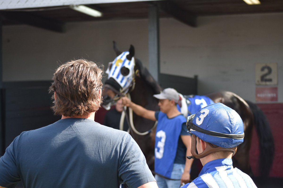 We'll be all eyes this weekend for our two Hastings Racing Club runners. Swing by <a href="/hastingsraces/">Hastings Racecourse</a> to see Racino on Saturday and Prince Cairo on Sunday! 🏇🤞