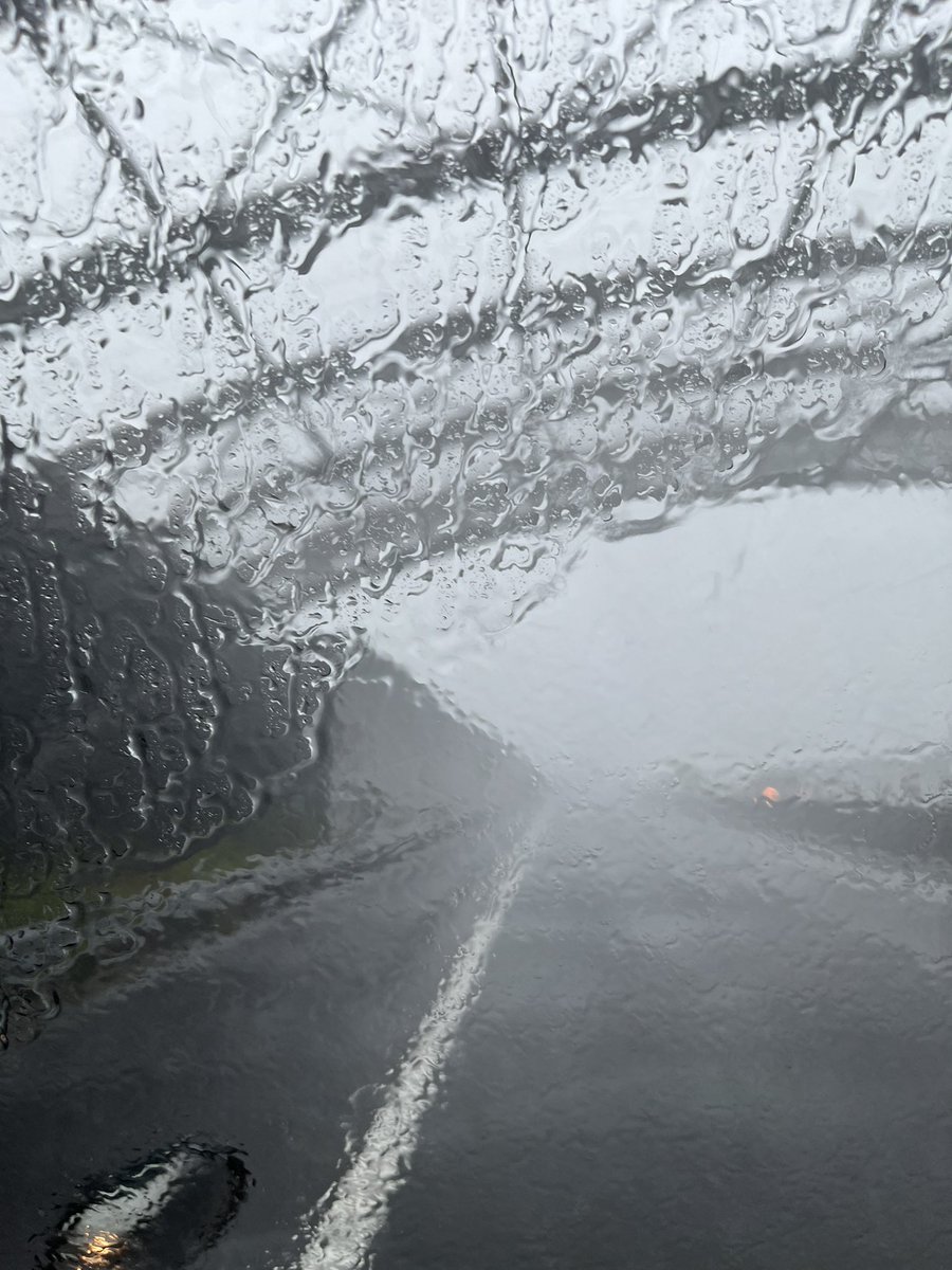 視界ほぼゼロなんだが…