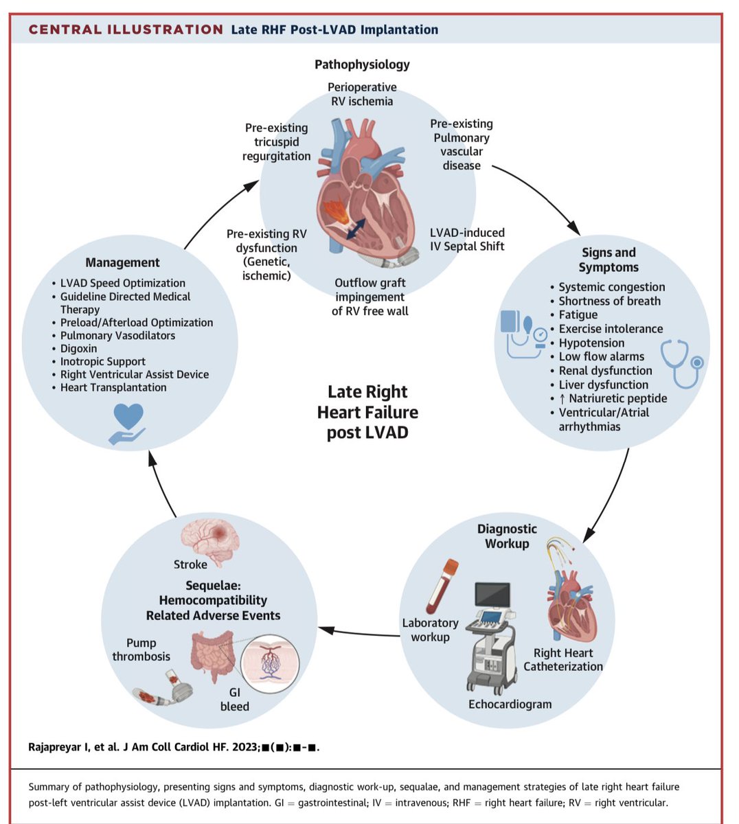 Post #LVAD late #RHF causes ⬆️ mortality/morbidity 

🔥no standardized definition 
🔥> 90 days post implant  
🔥⬆️ Cr/LFTs; ⬆️ diuretic dose

Phenomenal 🔥🔥review @JACCJournals 
#JACCHF by @IRajapreyar @RyanTedfordMD @YevgeniyBr @AHajduczok & team 🙌
#ACCEarlyCareer #ACCFIT