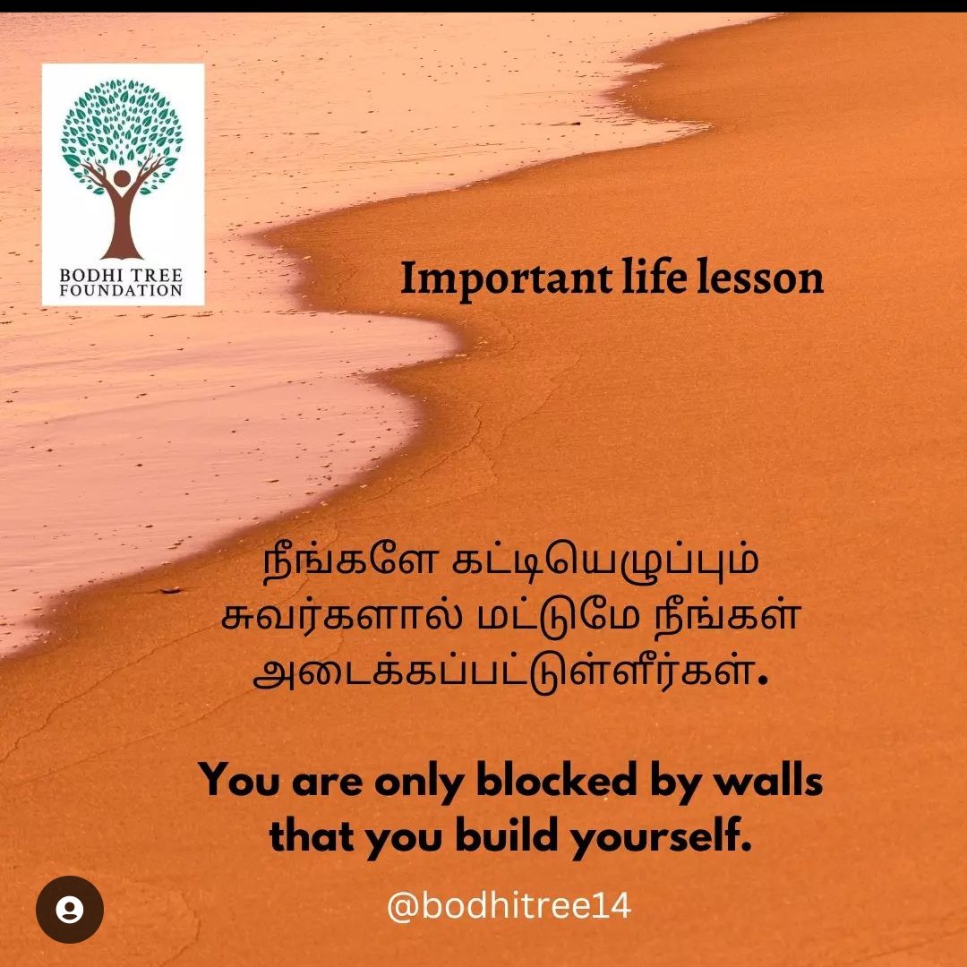 BodhiTreeFound1's tweet photo. You are only blocked by walls 
   that you build yourself 💫 https://t.co/S9pquOtKVw