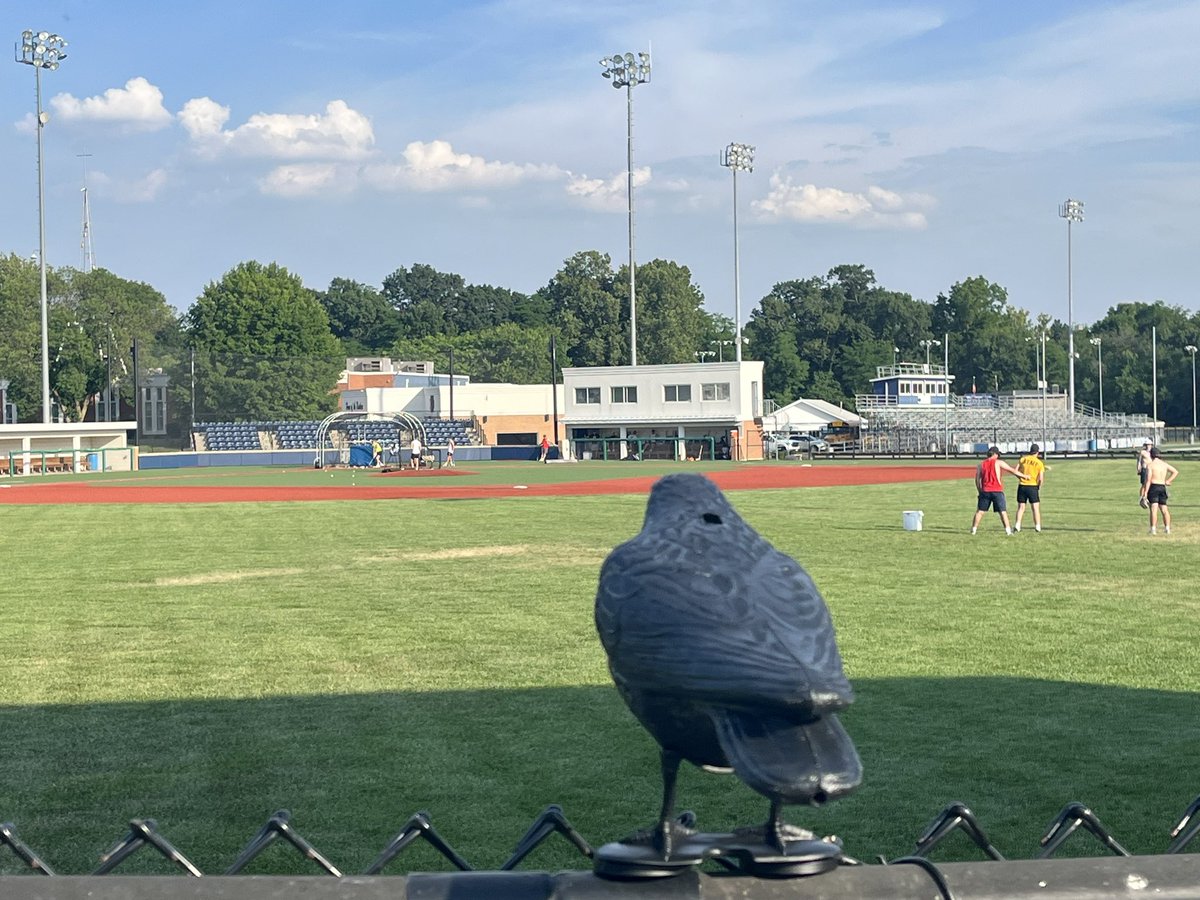 QNDBaseball's tweet photo. @QNDBaseball had one final practice at The Ferd today followed by a quick team meal. 

Special thanks to @CoachBradHoyt for spending some time with our players after the meal. 

#FlyHighTuck

🐦‍⬛

#GoRaiders
#QNDBaseball
#make2023special
#ILPower25

#RTP https://t.co/0XN9PZ7GUB