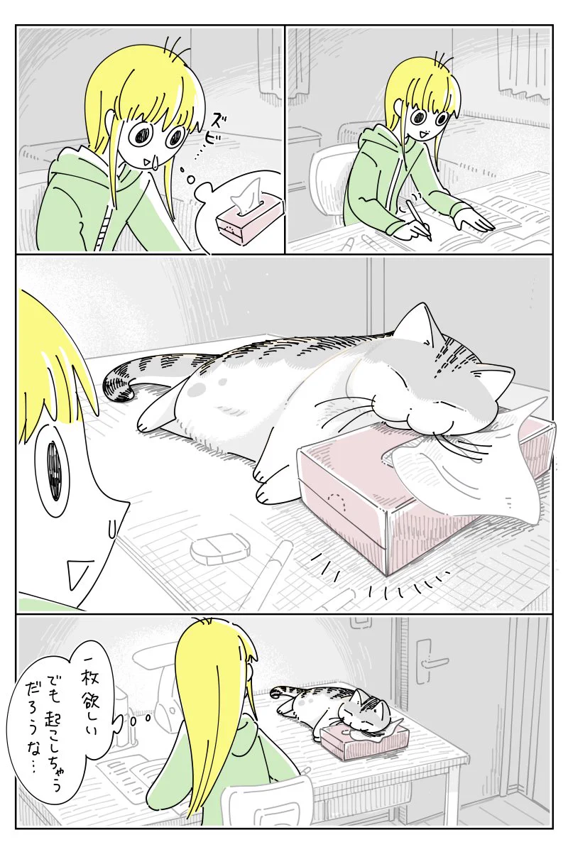 そっと一枚取ったら･･･！ティッシュ箱を枕にして眠る猫のお話を描いた「猫漫画」！