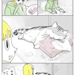 そっと一枚取ったら･･･!ティッシュ箱を枕にして眠る猫のお話を描いた「猫漫画」!