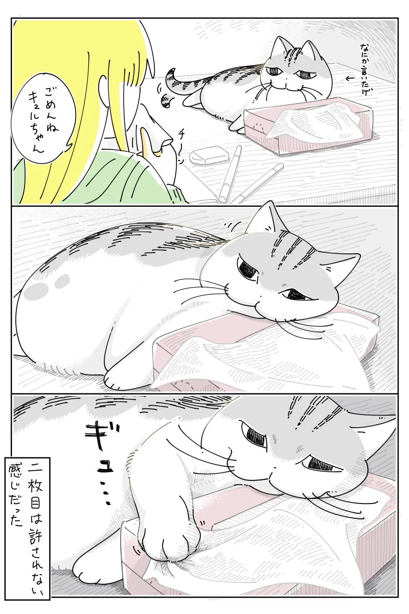 そっと一枚取ったら･･･！ティッシュ箱を枕にして眠る猫のお話を描いた「猫漫画」！