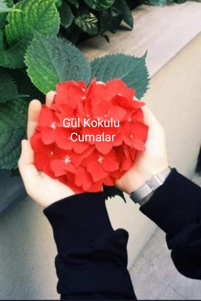 .
&,,,//:🕊
🕊
Yeni_//:Gün, 
SağLık,
Huzur,
MutLuLuk,
Neşe getirsin İnşâAllâh 

#SeLâm_ve_Duâile.
#HaYıRLı_SaBaHLaR 
#CumamızHayrola 

GツN A Y D I N L A R ☕️🍃🌺🌼💫.