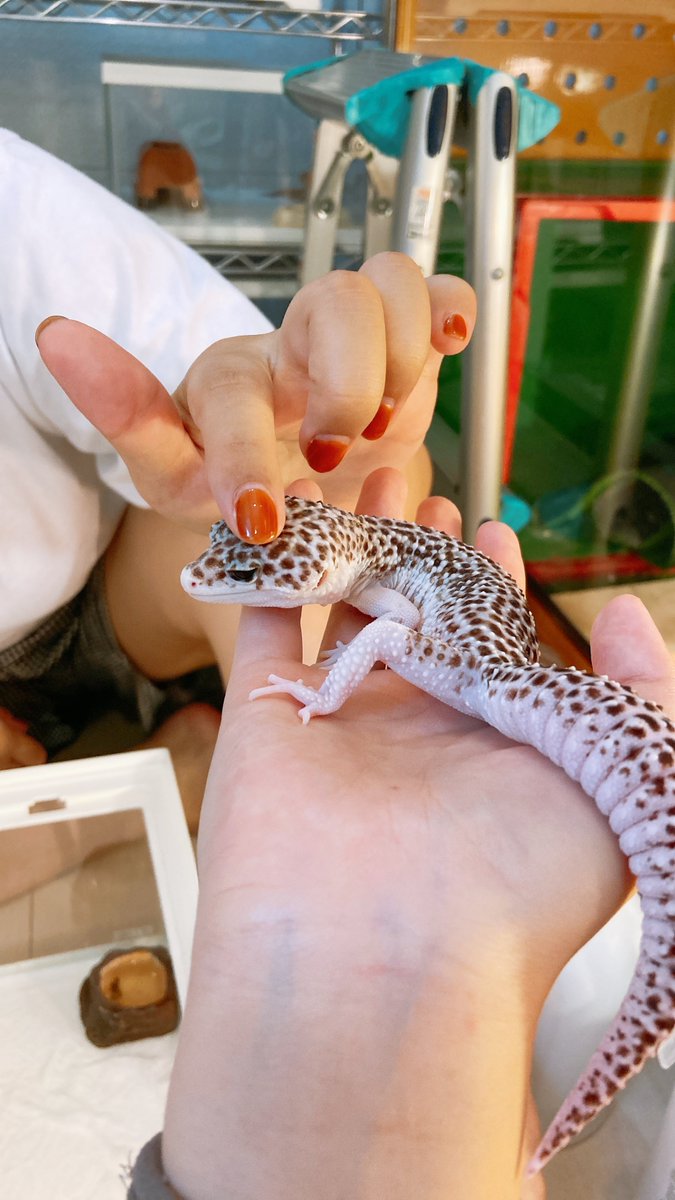 友達の家の子大人しすぎて可愛すぎた( ◜𖥦◝)♡