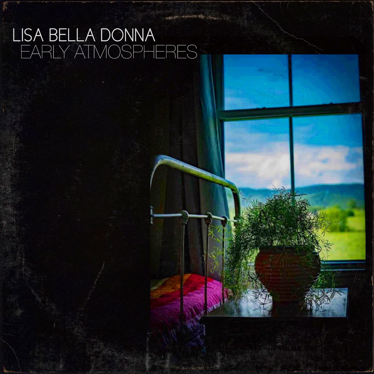 Lisa Bella Donna tweet media