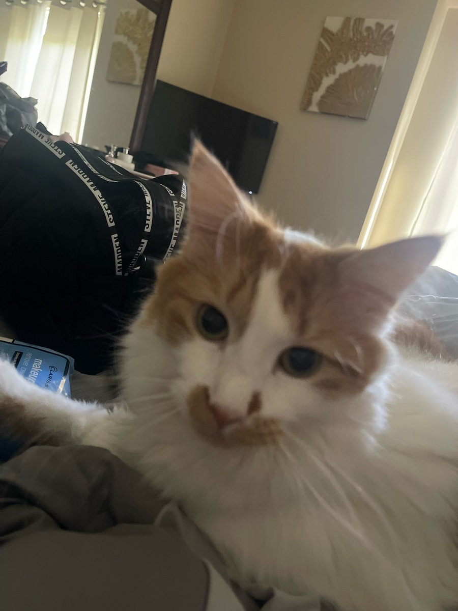 KellyKr22 tweet media