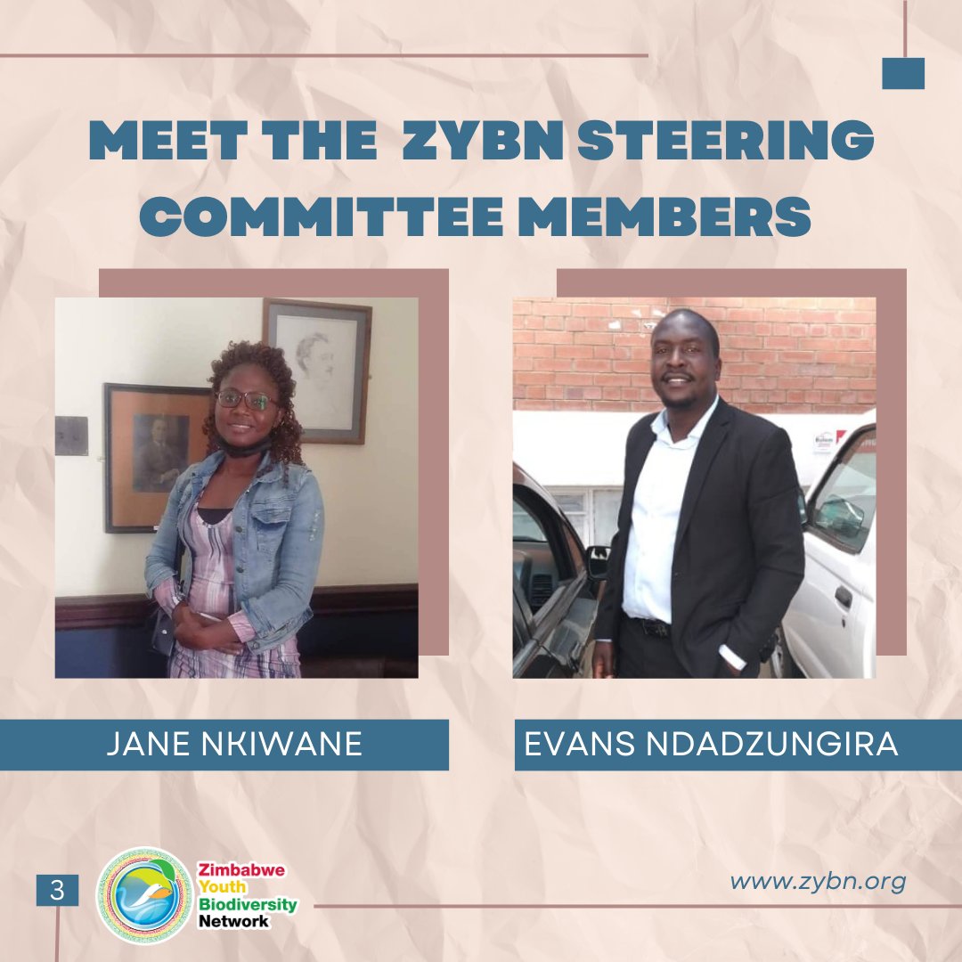 Zimbabwe Youth Biodiversity Network (@zybn_cbd) on Twitter photo ๐ฟ๐ Meet the incredible members of the <a href="/zybn_cbd/">Zimbabwe Youth Biodiversity Network</a> Steering Committee! ๐ a dynamic team united by their passion for nature & dedication to creating a sustainable world ๐ฟ๐ค
Stay tuned to learn more about their incredible work & initiatives!๐ #IamZYBN #AfricanYouth4Biodiversity ๐ฟ๐ Meet the incredible members of the <a href="/zybn_cbd/">Zimbabwe Youth Biodiversity Network</a> Steering Committee! ๐ a dynamic team united by their passion for nature & dedication to creating a sustainable world ๐ฟ๐ค
Stay tuned to learn more about their incredible work & initiatives!๐ #IamZYBN #AfricanYouth4Biodiversity
