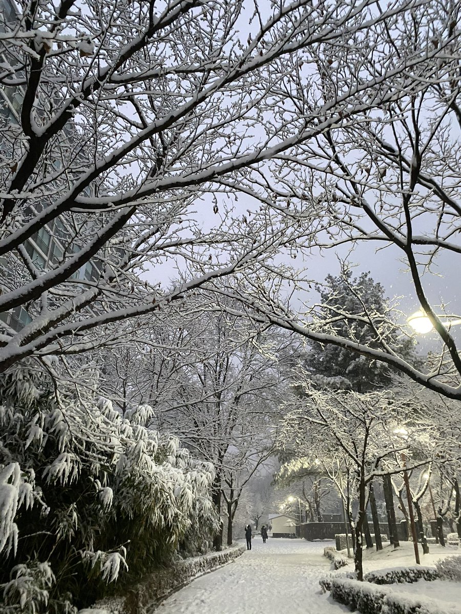 lasuopyyy's tweet photo. #GBTWriting #2023TreasureHunt 9️⃣

These four pictures represent the seasons from my perspective: cherry blossoms for spring, the blue sea in Gangneung for summer, maple trees in autumn, and a snowy scene for winter. https://t.co/fc8c6wC4Ry