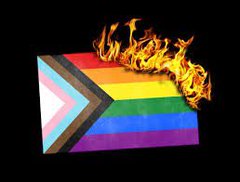 m_p_v_'s tweet image. #whatisawomen  ?

I'm 

Queimem esta ideia do demônio.

Mulher sabe que é mulher. Já nascemos mulher.