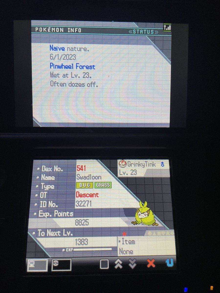 GlassTheDragon's tweet photo. Shiny Swadloon | 3282 REs https://t.co/cc6GkOtbRN