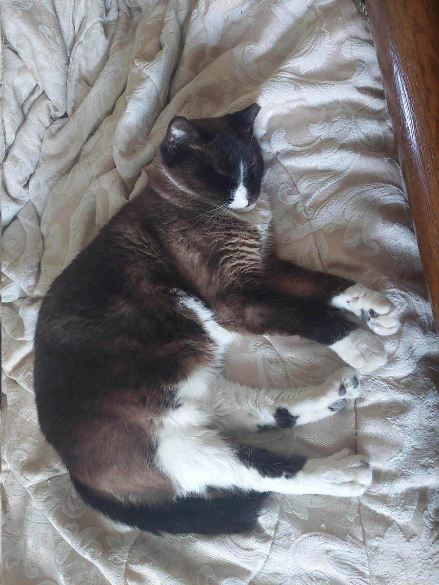MinaTCat's tweet photo. mina (presented without comment) https://t.co/XVtf2mGjio