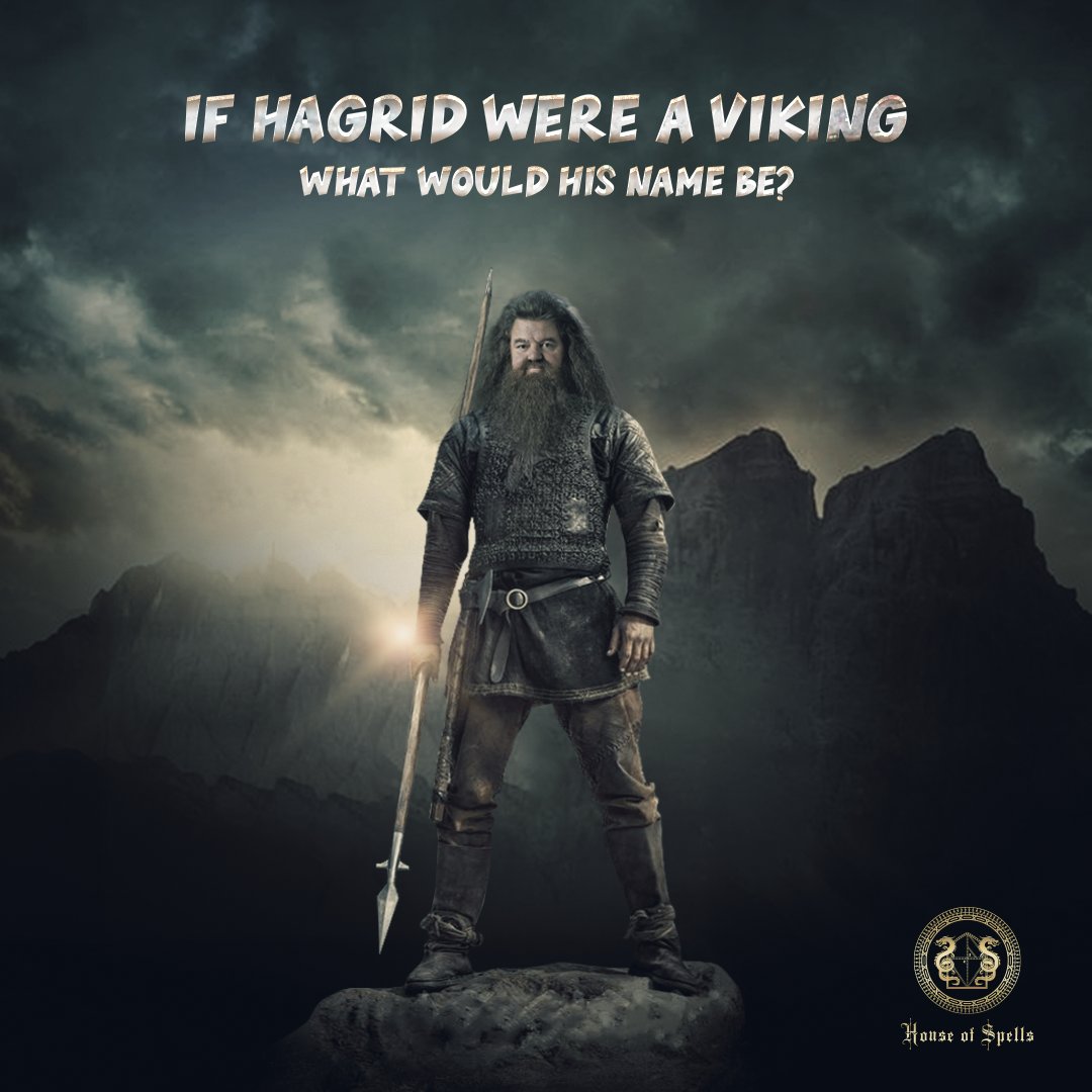 houseofspellslp's tweet photo. Ragnarus Hagbard?
.
.
.
#harrypotter #vikingsseries #ragnarlothbrok #hagrid https://t.co/6ItfzzuCgm