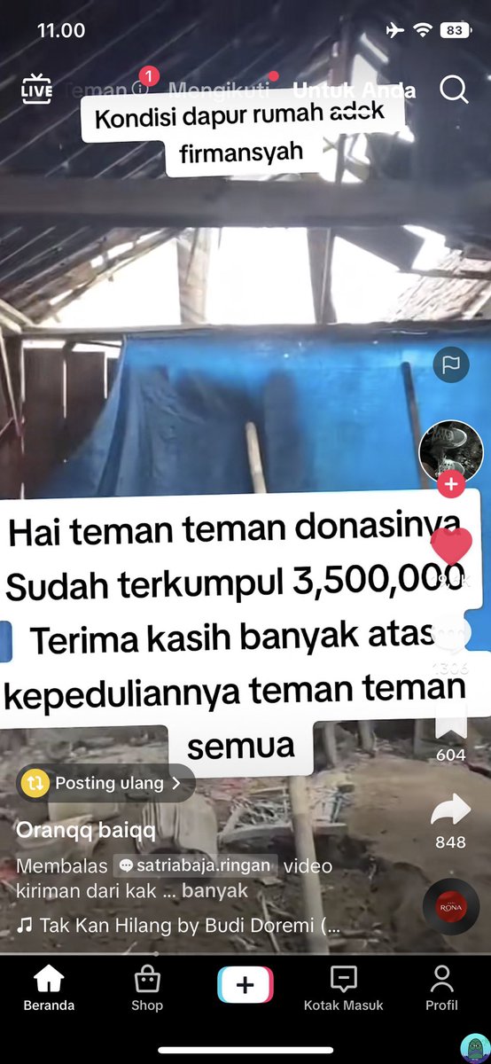 Tanyarl 💚 tweet media