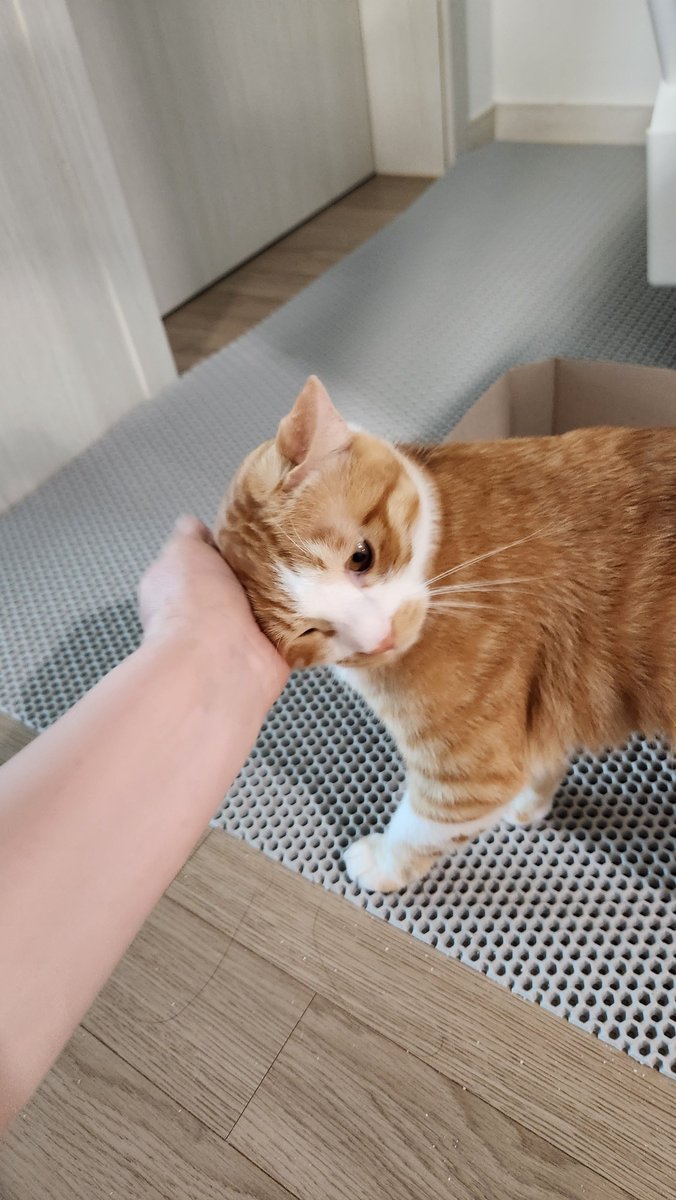 병원다녀와서 맘마 먹은 후