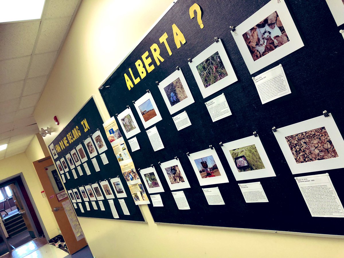 Panorama Hills School CBE tweet media