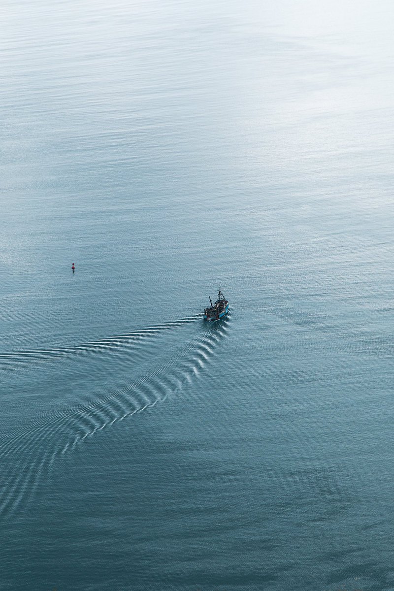 Cherith Brook tweet media