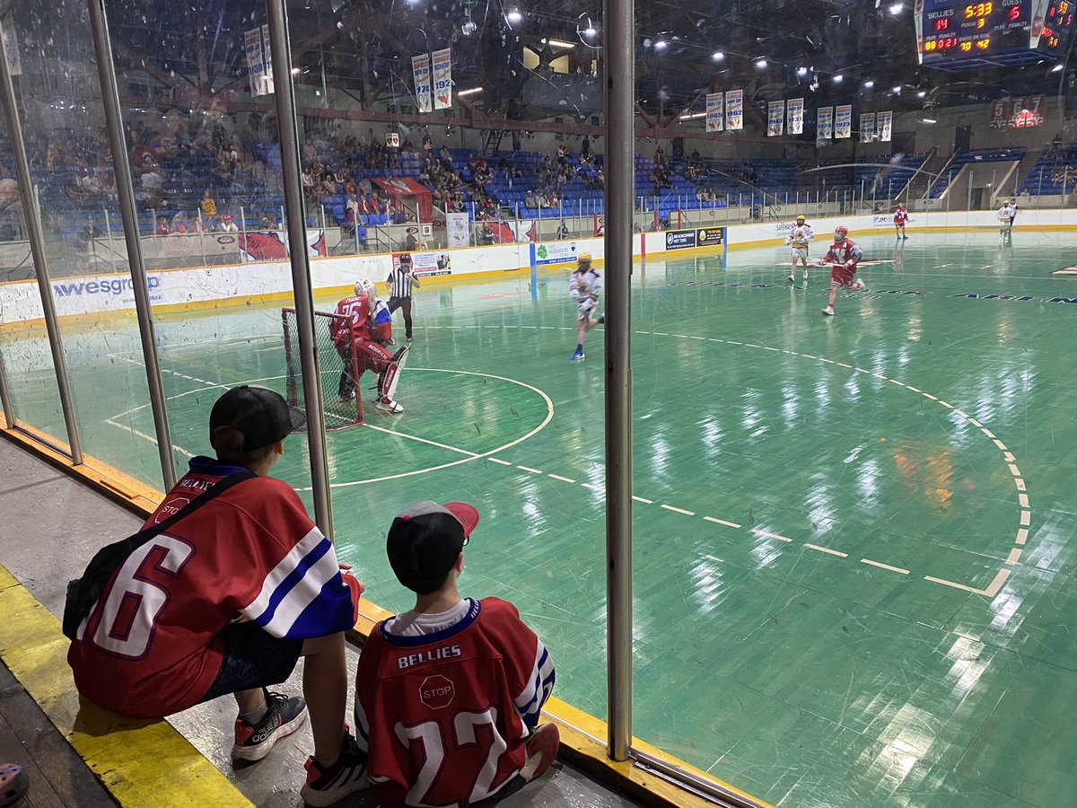 Young Bellies are enjoying tonight’s <a href="/Salmonbellies/">NW Salmonbellies</a> game against the Coquitlam Adanacs at Queen’s Park Arena. #GoBellies