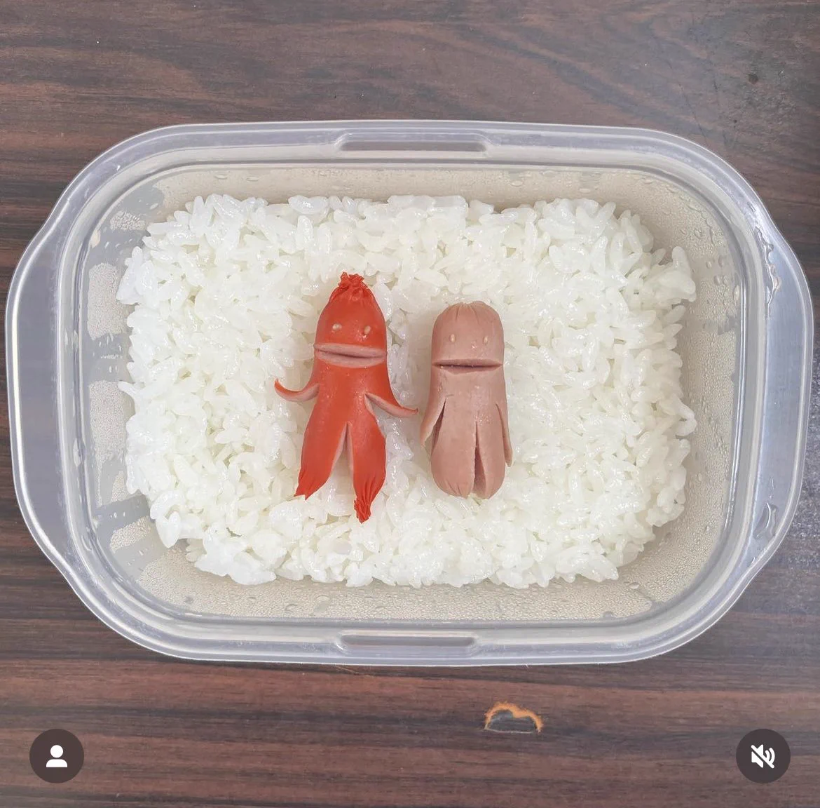 毎日のお弁当作りは頑張りすぎなくていい！インスタで見つけた手の込んだ手抜き弁当が面白い！
