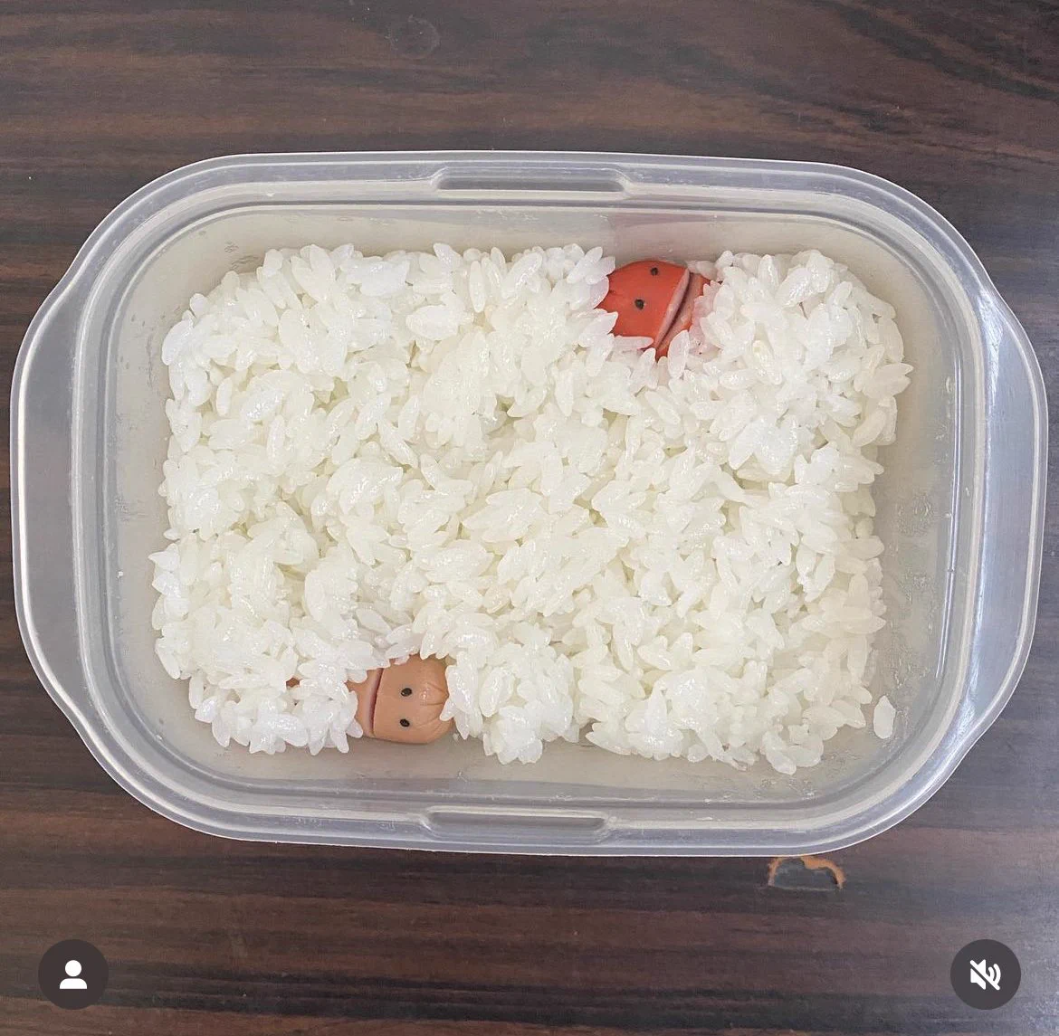毎日のお弁当作りは頑張りすぎなくていい！インスタで見つけた手の込んだ手抜き弁当が面白い！