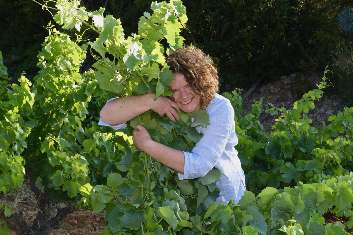 .<a href="/domainejones/">* Katie Jones *</a> has revived her 2021 Adopt a Vine scheme by putting 100 50 to 100 year old vines on her Languedoc vineyards up for 'adoption'.Here she explains why &amp; we re-publish our interview on why she wants to give customers to own some of her vines the-buyer.net/people/domaine…