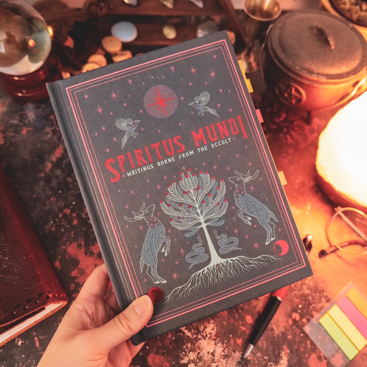 Cunning Folk tweet media