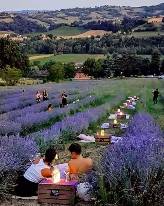 💦💦💦💦💦💦💦💦💦💦 #HappyFriday #GoodMorningTwitterWorld #HappyWeekend #SendTips #Lanvander #Fest #Vaucluse #France 🎼☕️😎 #PeaceAndLove #Gratitude #follo4folloback #PlaceToGo #Travel #LavenderfieldsinVaucluseFrance 🇫🇷 🎥youtube.com/watch?v=6sPkHg…
