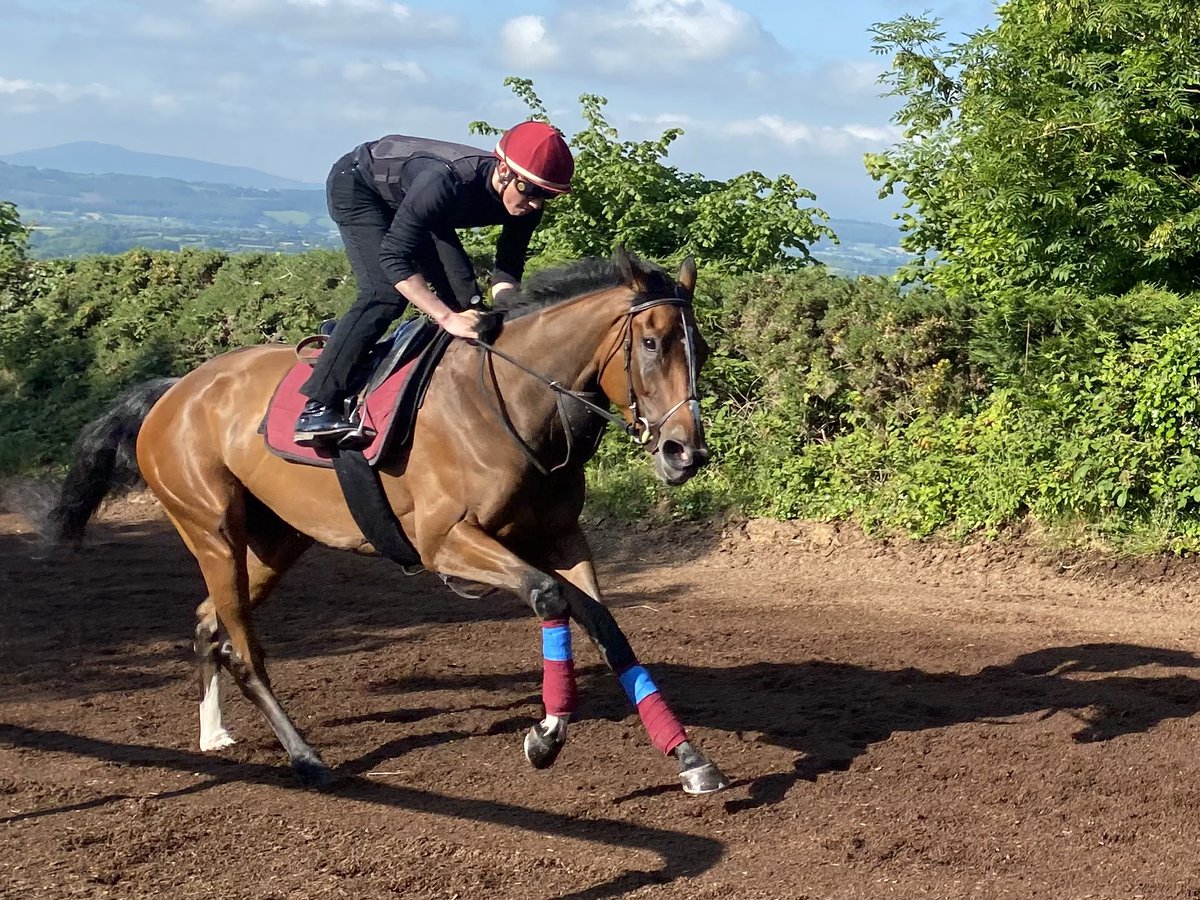 Brendan Powell tweet media