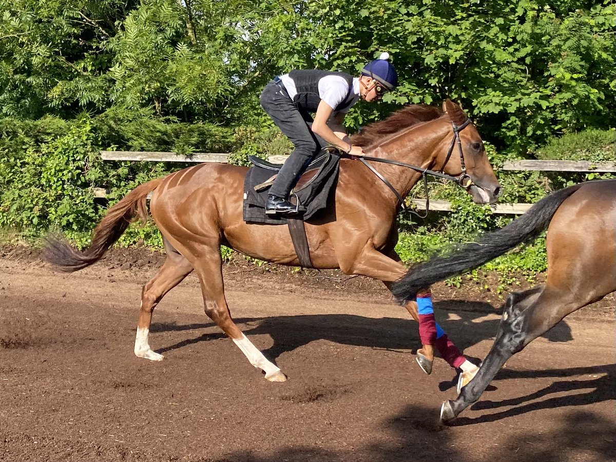 Brendan Powell tweet media