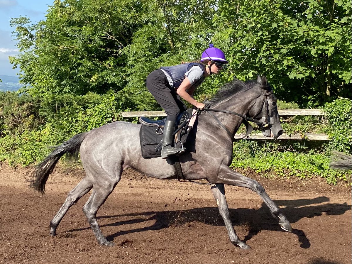 Brendan Powell tweet media